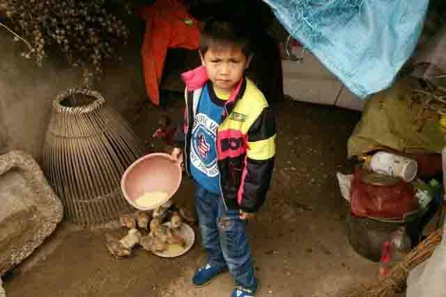 ��Ϊ�����ѹ�����δ�Ƽ����û�����Ҫһ�����ӣ�����һ��ȥҽԺ��Ѫ��ʱ����ҽ��˵�������������ֲ����ֲ�ɹ����ӾͲ�����Ѫ�ˣ�ͬ�������ͳɹ��ʸ��ߡ�Ϊ�˸�����ϣ��������ͥϣ����2012������ӭ���������ĵܵܣ�Ī���䡣2015��10�����Ǵ�������������һ������ҽԺ���г�Ѫ���͡�