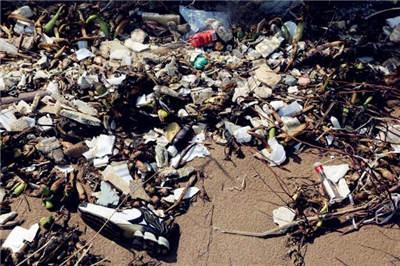 ����̫ƽ���ϣ���һ���ӽ�8���㶫ʡ����ľ��ͺ���������������ٲ���ȡ��ʩ�������޷����ɣ�������Ҳ��ʧȥ��������ĺ���