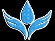 ��˭����������ɳ����´�����޽������Ļ��ٽ����2008�꿪ʼ��רע�ڶ�ͯ��ȫ�Ի����������μ��봨���������������Ű���³����ֺ���Ԯ��������ִ��Ҽ����&ldquo;��ͯƽ���ƻ�&rdquo;���й���ƶ�����&ldquo;����ͬ��&rdquo;��������������Ķ�ͯ��ȫ�ֺ������������ͯ�����˴Ρ�