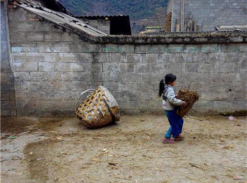 ���红�Ӽ�ɳ�������������֮�𣬵��ⲻӰ����Щ����������ĺ��ӣ�