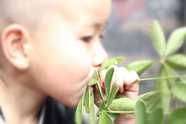 С�µļ���ɽ��ʡ�����еĶ��Ŵ塣ʮ����ǰ�������Ա߳�����һ�����������Ӵ�֮��ÿ�켸��ÿ����ʮ���Ӿͻ��й����Ļ��̺ͺ��̹����ų����̳�ɢ���ڴ����Ժ�ӡ�ũ������������������һĨ������һ��Ҿ�մ������ָ��