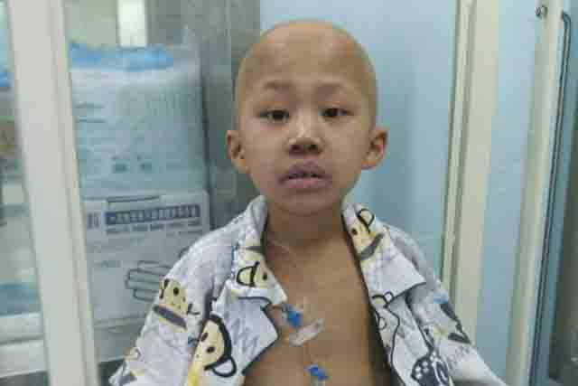 ����ŷ��Խ��Խ����Ѫ��Ҳ��֮Խ��Խ�࣬���ø�����Ҳ���ӣ����õ��������������飬��С��������ͱ����󣬰�����Ϊ�����ȶ�������������ԭ���Ͳ���ԣ�ļ�ͥ����ѩ�ϼ�˪��������Ѱ����ԣ�������̨�������ҵ����ʵĹ��裬��С�����ڹ����и�Ů��ͯҽ��������ֲ��c5�ֽ��й�����ֲ��