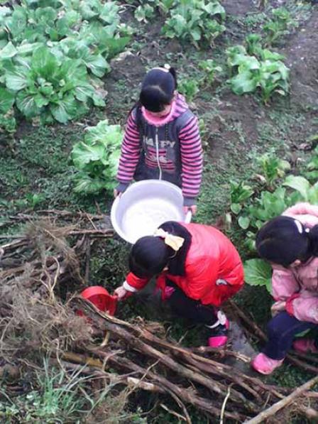 Ϊ�Ĵ�ʡ������29���ء�������ѧ����ļ��ˮ��