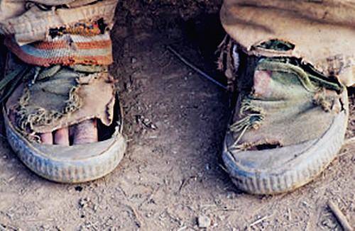 Ь���ã�����Ҳֻ��һ˫