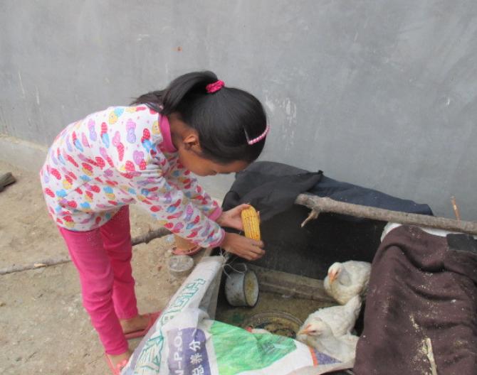 СС�������壬��������ŷֵ������