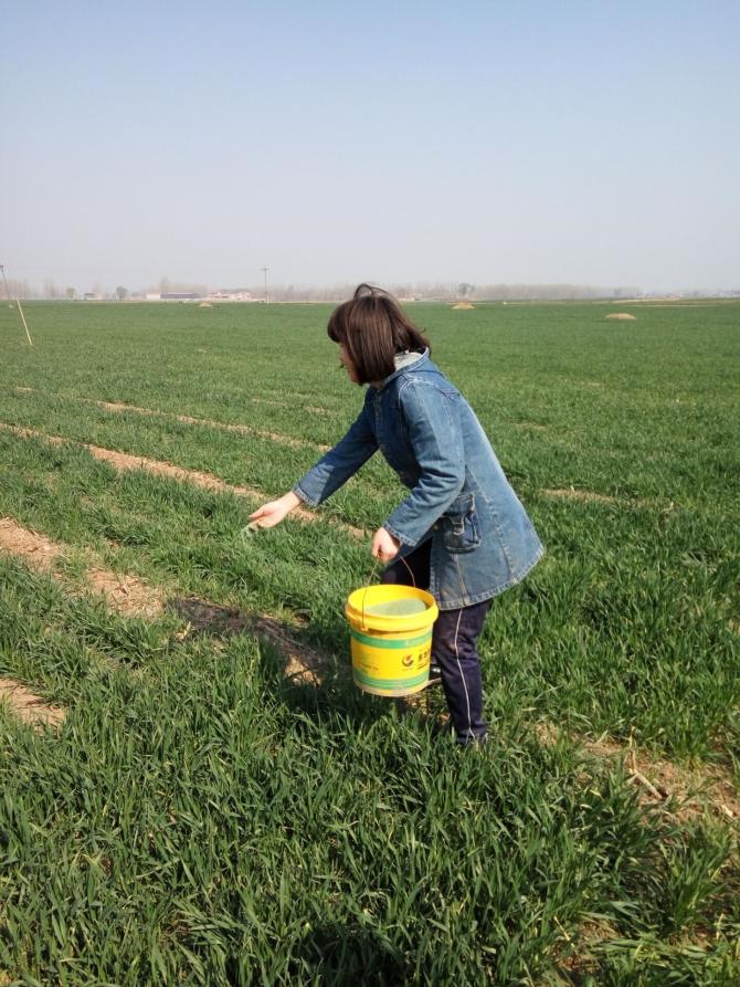 ���ڵ�����Ÿ��׸ɻ�������𣬽���߶���������һ��͸ÿ���ѧ�ˣ���ʵ���Լ��������ʣһ��֮ң��