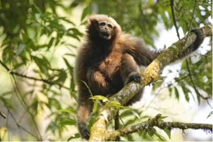 ���ʽ�ʹ�üƻ���