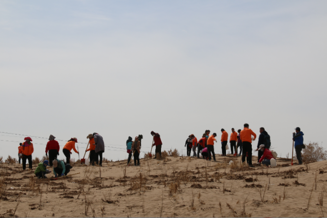 ��2009��������־Ը�߾Ϳ�ʼ��ע�ڸ���ɳĮ������ͨ����Ŀ����������ҵ����֧�֣����ڸ���ɳĮ�����о��ڵ��������������ء������ؿ�ʼʵʩ��Į������������Ŀǰ������ֲ���󡢺�����������ֲ��300000�ꡣ