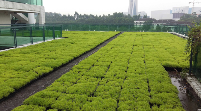 ���У�������ز�Ʒ������׼50cm*50cm���ϲݿ򣬷�ײݣ���̬���Ȳݣ������ͺ����߶Ȳ�����12cm��ÿ���ݿ��ܶȲ�����1000�����磩�л����ϡ��޷Ĳ��ȣ�������׼Ϊ300Ԫ/ƽ���ף�����������ز�Ʒ������������֧�֡��ƹ������ȷ��ã����Ժǻ�һ��ֲ��ķ�ʽ����������