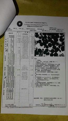 �����ҽԺס��ʮ���죬����������ҽ����������ȥ����½����ѪҺ�������Ľ��а�Ѫ�������ơ������������Ĳ��飬�Ҹ���ʲô�취ƭ�������������أ��Ҿͽ��ȥ������˼�ع�˾�ñ�������ɣ��������������˱������ҽԺ��