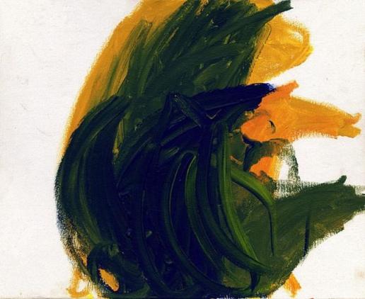 ����ī����������