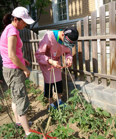  ������ѧԱ��ͨ��ƽ�ء�������ʩ�ʡ����֡���ˮ����ܣ���ֲ�߲ˡ����ܣ�������ũ���ÿһ�����裬������ˮ�������Ͷ����ջ��ʵ���ջ�ϲ�ã�