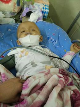 ÿ�λ������Ƕ�ô��ʹ�࣬�еĴ��˶��ܲ��ˣ����ο�һ��3��ĺ��ӡ����Ǻ��Ӻܼ�ǿ��û��ô�ޡ�ÿ��С�������Ӷ�ĬĬ�����ᣬ�������Ŀ����ӡ�������Ҫ���ܵ�̫��̫�����������������Ӧ�ó��ܵ�ĥ�ѡ���Ӧ���и����ֵ�ͯ�꣬�и����õ�У԰ʱ�⣬����ȴ����ħ����. ʵ�ڲ���