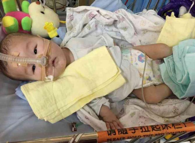 ����Խ��Խ���������������ҵ�ҽ��ȥ�����ư취��ҽ�����齫����ת���Ϻ�������ѧ������ͯҽԺ����·��Ǻ��������ܣ���120�Ȼ����Ļ����½����ȥ���Ϻ�������ѧ������ͯҽԺ��ICU����������ÿ���ڲ�����Ͳ�ħƴ���������������⽹���ĵȴ���ÿ��8ǧ���ҽҩ�����������ķ����������ܡ�