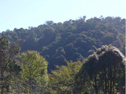 ���������� ����100Ԫ������ʡ��ɫ������չ����ὫΪ�����ϵ��Ӿ���֤��һ�ݣ� ������˷��;�����ͼ��&ldquo;��ܽС��&rdquo;΢���˺ţ����΢�źţ�puffteam����������Ա�ᶨ��Ϊ��������Ŀ���չ�����ӻ�����