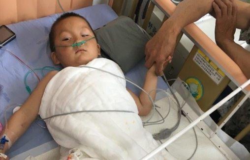 ����48��ļͺ갲���������Ӽ����������ˣ���Ҿ�ƶ�������Ȣ�����ӣ�����ɥʧ˵��������������Щ���⣬��������������»���һ��2��ĵܵܡ��ͺ갲��Ҫ�չ����ӣ���Ҫ�չ�2�����׵Ķ��ӣ�ֻ����������İ�Ķũ���ι����һͷ��ı����