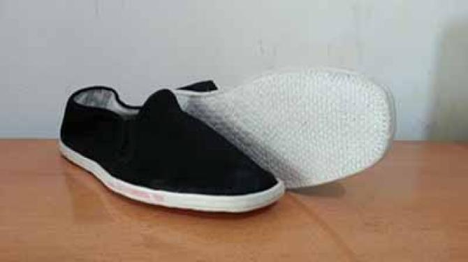 ������Ҫ��ʲô�����ǽ�Ѱ��10λ�����ǧ�����Ьʦ����ÿλʦ������5λѧͽ������ѵ��50λ��ˮƽ��ѧͽ���������50λѧͽÿ��������6˫������ǧ��ײ�Ь�����ǽ�����ѡ���100˫���а����������������ÿ��������֧�������߳ɱ������⣬��������ȫ�����ڱ�����ƶ����ͯ������