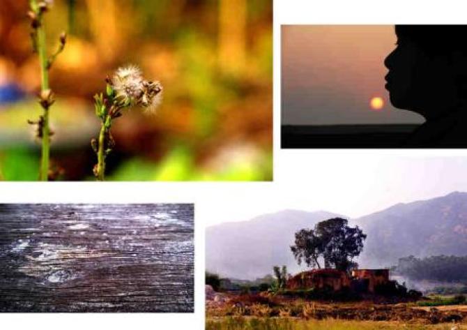 �����塢��ѩӨ������һ��������������껹�кܶ�ܶ࣬�����еĴ��������ã�ò�֪����������һվ������������������ڽӴ���ְҵ�滮��������ѵ���٣�������ҵ��֮��Ҳֻ�ܽ���󹤳�ȥ����ˮ�߹�������ʧҵ��