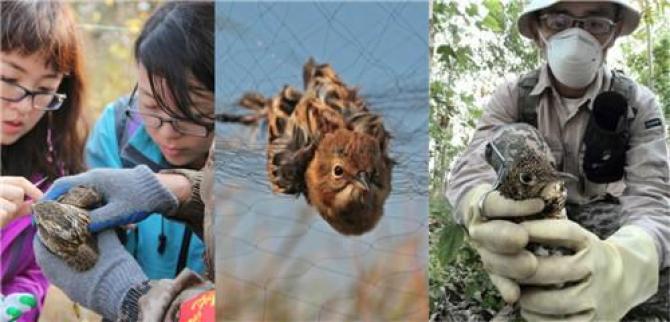 ������Ҫ��ʲô���ú���ɹ������ּ�ڴȫ���������磬�����ڹ��ڻ�����Ӧ��д�����ڶ���������Ŀ���⣬Ϊȫ���Ļ���־Ը���ṩ�������������֧�֣��ں�����Ϣ������з�����Ѳ�����ල�;ٱ�Υ��������Ŀ��Ϊ��Ŀ���ϵ�ѧУ��չ��Ȼ���̡�