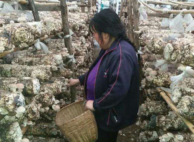 2005�길�׺�����һ�������Ĵ���������䣬2007�����Ǽ���7.30�ش��ˮ�Ѹ���û��õĴ���������ˣ�����ʱû�����ֺ���û���⳥����ʧ�ܼ�30����Ԫ�����������Ҳ�������ˣ���ʱ����������������ڸ�����һ�������壬�ͳ�ȥ�򹤻���������ң���������ѧ��