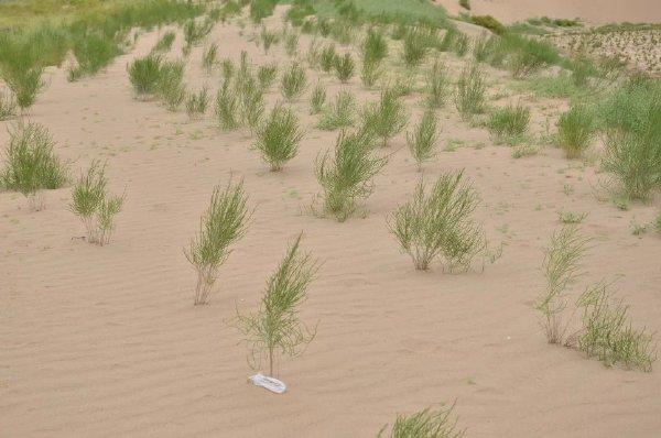 �����޷����ƣ���ɫ���Դ��ݣ�ϣ������������������ҵ��λ������Я�ֹ�ע��̬������������̬�������������ֱ�������,�ù�����Ŀ��ѭЯ��ͬ�ģ���ɫͬ�С���ɫ���������ж��Ĺ������