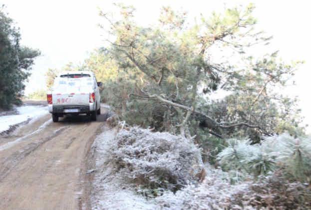 ��ɽ����ɽ���������ݣ����6��ƽ������˿�470��һ������Ϊ���塣��Ͻ17���أ����й��Ҽ�ƶ���ص�Ϊ14�����й���ƶ���ĵ���֮һ����ɽ�ǵ��͵ĸ�ԭ�ߺ����򣬵�������һ�ε������ߺ�ɽ����ͯ��С�����������Ѳ��˺������Ϯ����Щ�����ĺ�����Ϊ���䣬��Ϊ��ѩ�����ǵĺ��ٸ����һ������