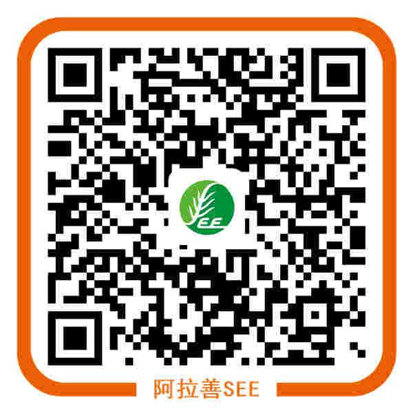 ��Ʊ�����롿ɨ���Ϸ���ά�룬����֧�����˺š��������ڡ��������վ�̧ͷ����ݽ��յ�ַ���ռ��������͵绰��������SEE����ᣨ��������ҵ�һ�������ᣩ��Ϊ����˿��߹�����ҵ����Ʊ�ݡ����������ۼƾ����ﵽ�����100Ԫ������������Ʊ�ݡ�