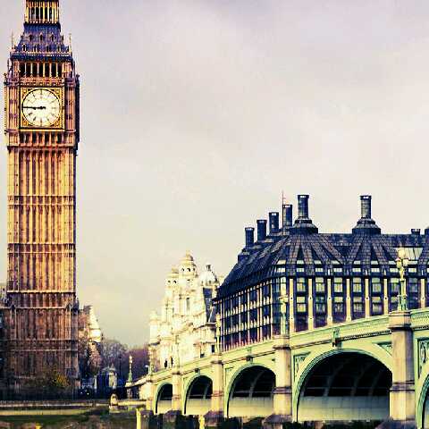 全民TV帝师的自频道