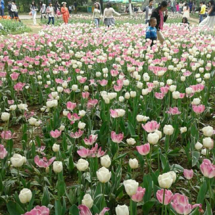 丿逍遥小枫的自频道