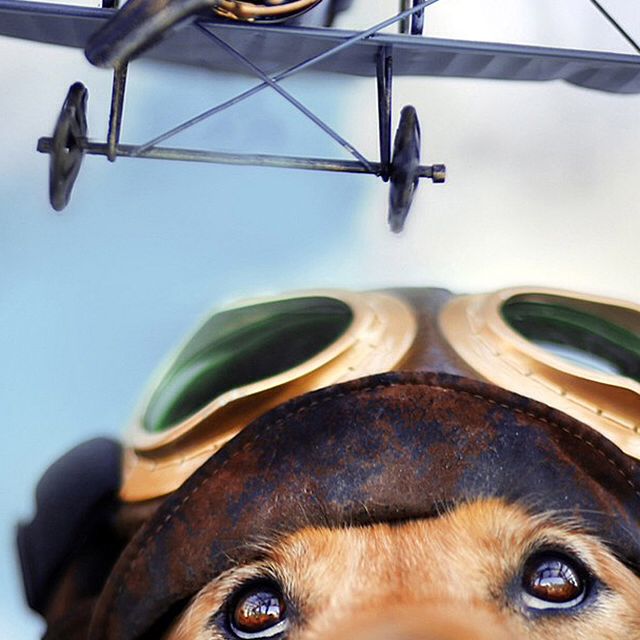 Dota情书的自频道