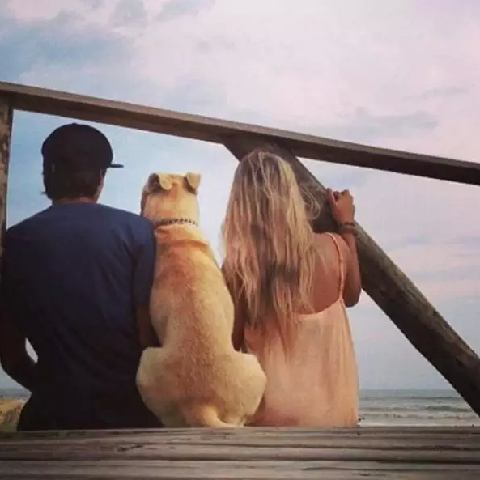 炒股的智慧网的自频道