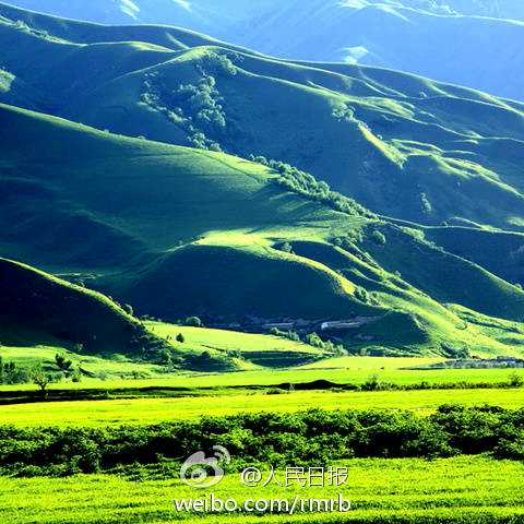 支付宝购买浙江省体彩6+1呀?弟兄们支持一下