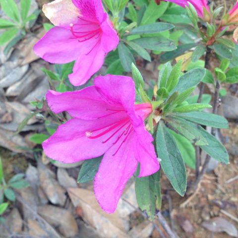 付款给支付宝,提示网页有错误呀 - 银行<em>工作室</em>