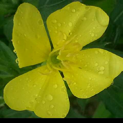 为什么我交易成功却没有获得积分 - 快乐集分宝