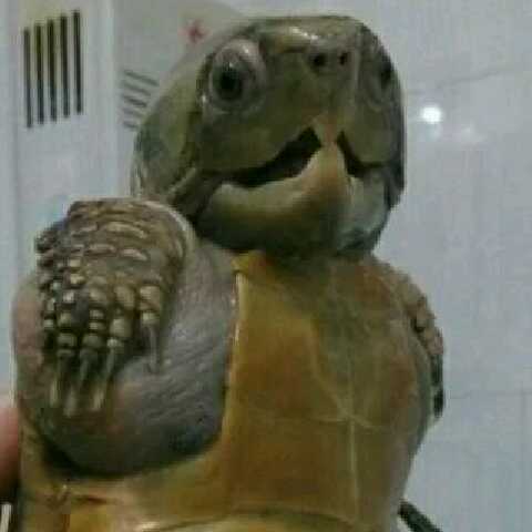 小握解说的自频道