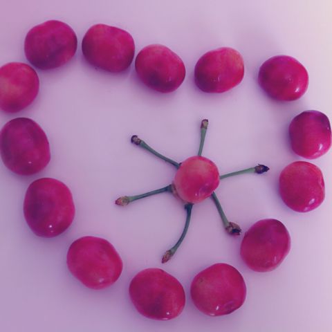 安卓最新版本的支付宝3.0.1.1025无法登录! - 手