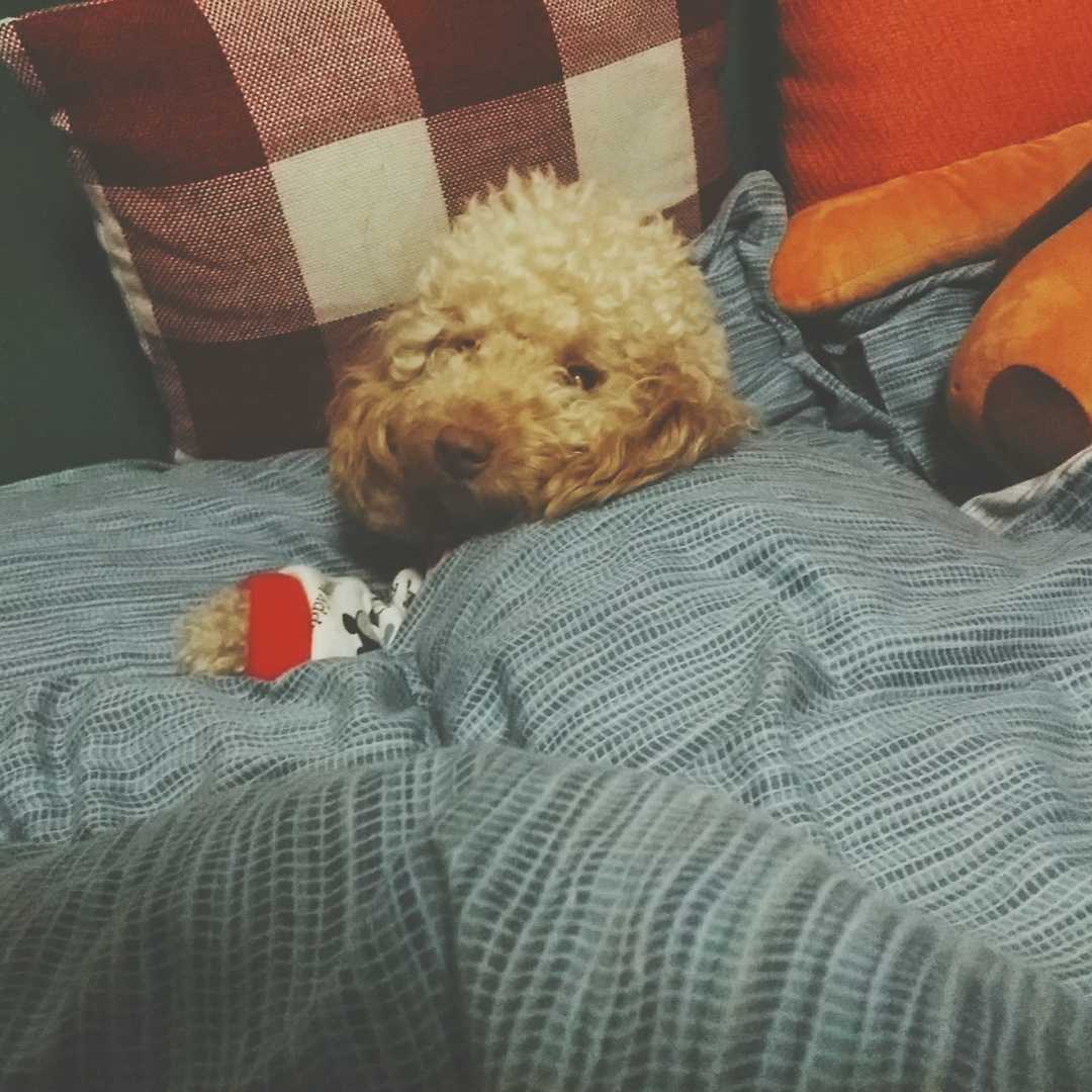 左轮吉他网的自频道