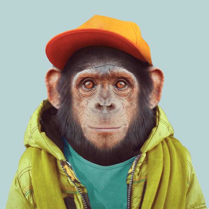 全民TV帝师的自频道