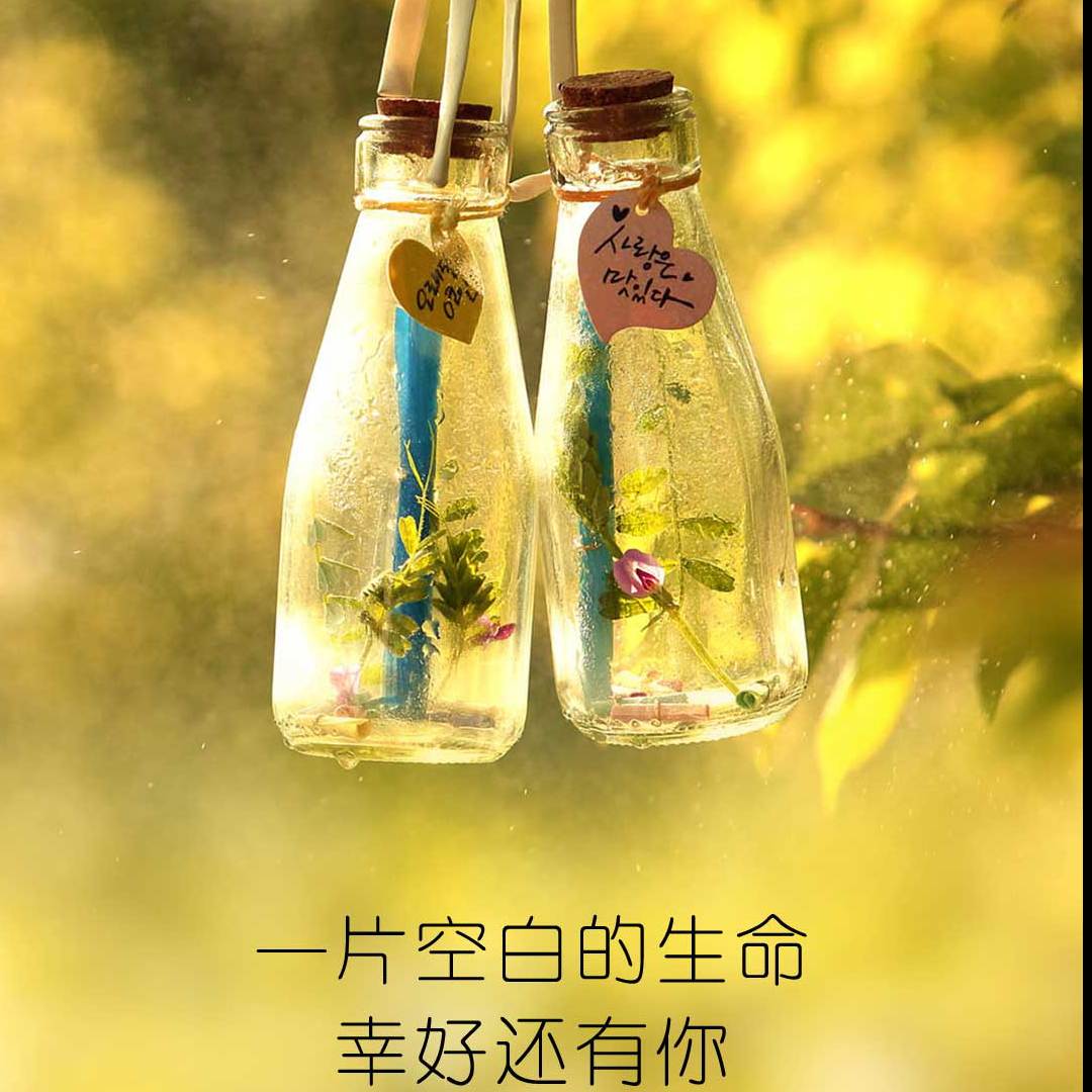 蛋白GG的自频道