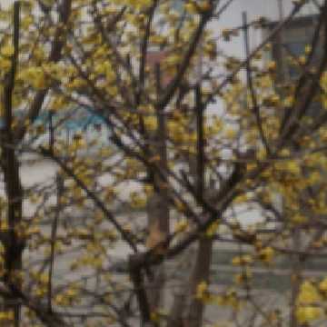 小刘解说CF手游我的世界王者荣耀的自频道