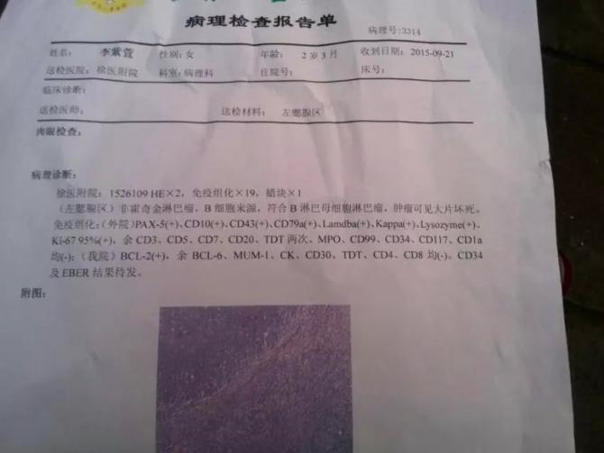 鱨