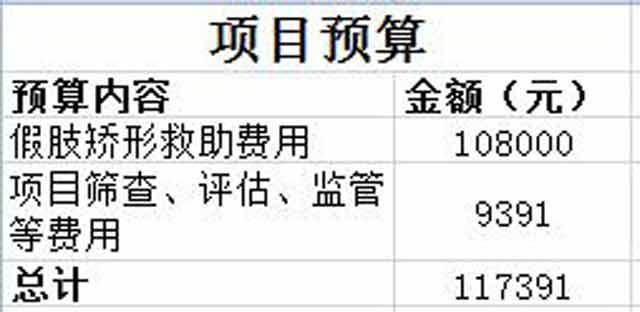 索要发票:中国残疾人福利基金会将为捐赠人开具发票，若您需要,请提供捐赠成功15日内的捐赠记录信息和付款记录截图（包括捐赠日期、捐赠金额、交易单号）。发票抬头、收件地址、邮编信息回复邮件至service_cfdp@163.com。联系电话：010-85920248。